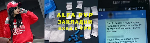 метадон Богданович