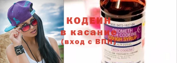 трава Белокуриха