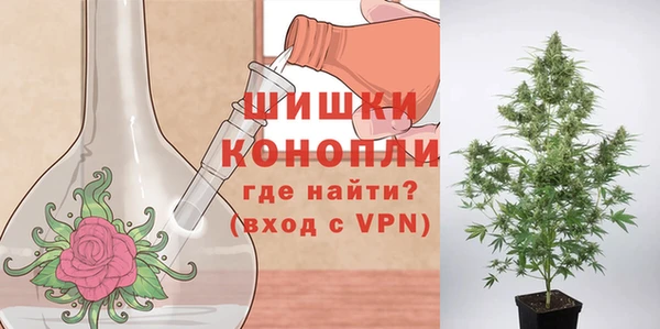 трава Белокуриха