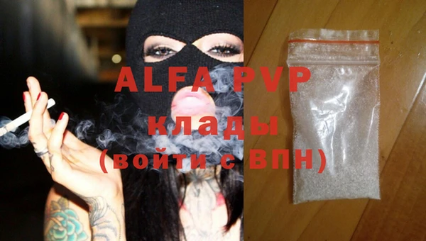 трава Белокуриха