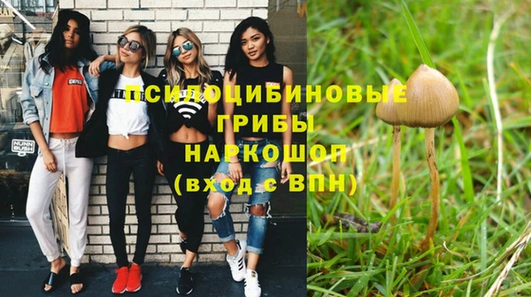 Альфа ПВП Богородицк