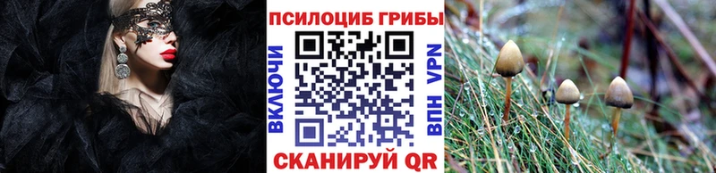 Псилоцибиновые грибы MAGIC MUSHROOMS  гидра маркетплейс  Губкинский 